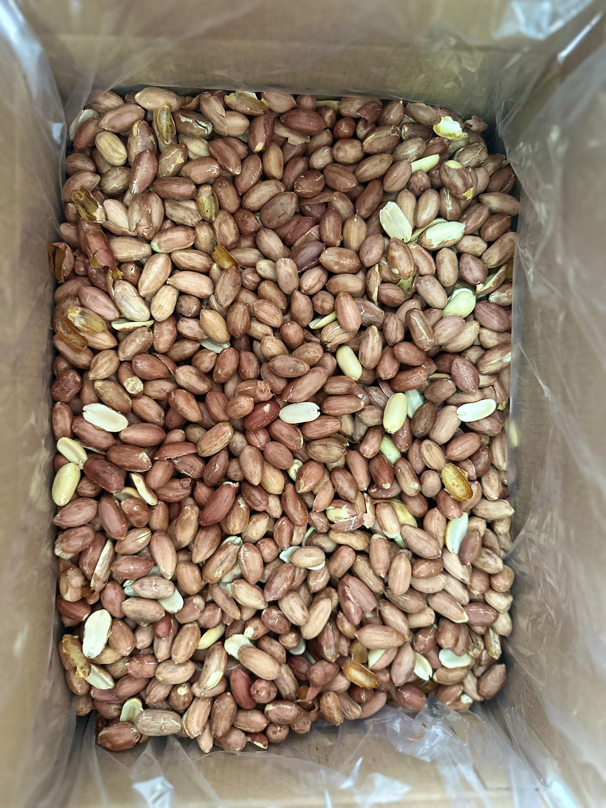 Serde | Usaltet jordnød, XL